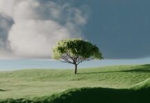 “마음 챙김, 바쁜 일상 속 작은 쉼표…실생활 속 실천법 집중 조명” A single tree on a vibrant green rolling hill.