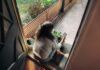만성피로, 생활 습관 바꾸기로 ‘탈출’ 가능할까? Woman sitting on balcony with smartphone