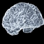 “디지털 시대의 필수 관리, 뇌건강을 지키는 스마트 라이프스타일 전략” a close up of a human brain on a black background