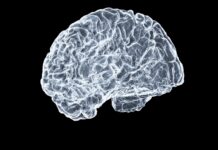 “디지털 시대의 필수 관리, 뇌건강을 지키는 스마트 라이프스타일 전략” a close up of a human brain on a black background